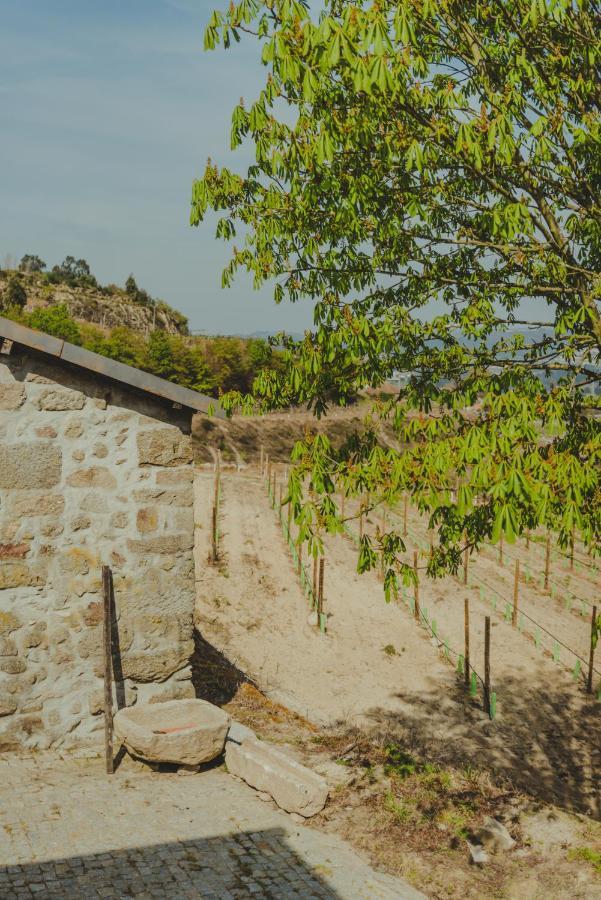 Villa The Farmhouse I - Uma Quinta Deslumbrante Felgueiras Exterior foto